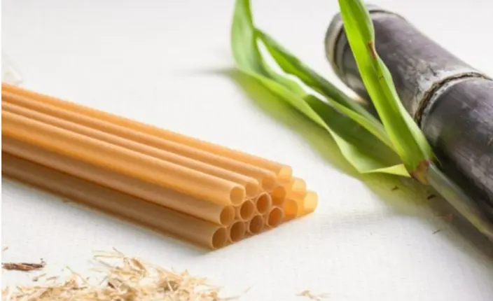 From Waste to Wonder: How Far Can Sugarcane Bagasse Straws Go?