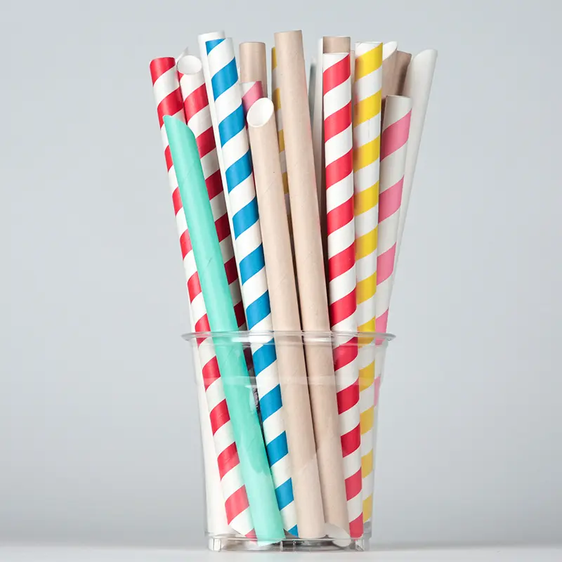 Custom Disposable Eco-Friendly Jumbo ...