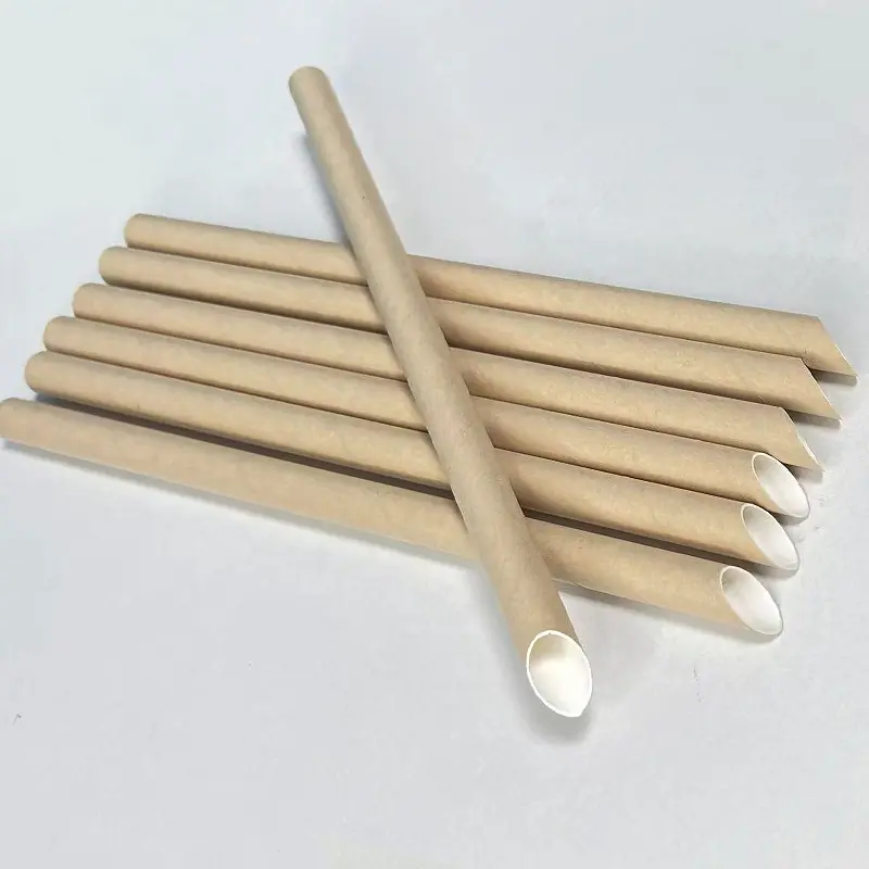 paper straw2.jpg