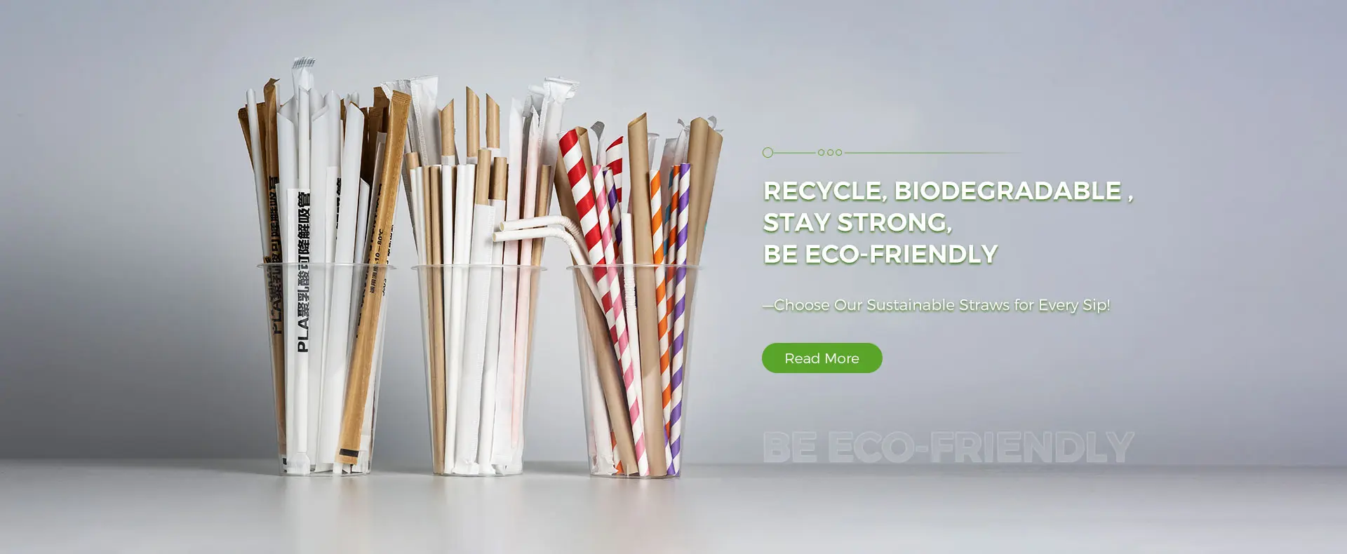 Bamboo Reusable Straw